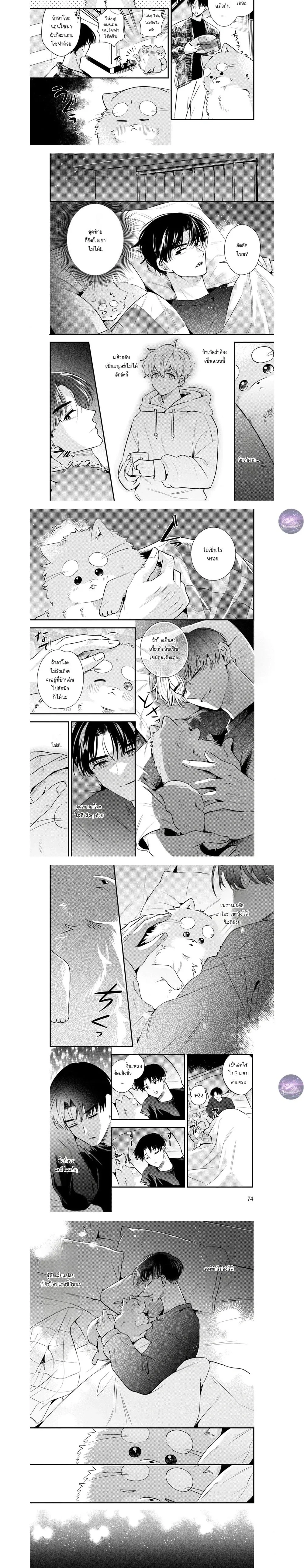 หน้าที่ 4