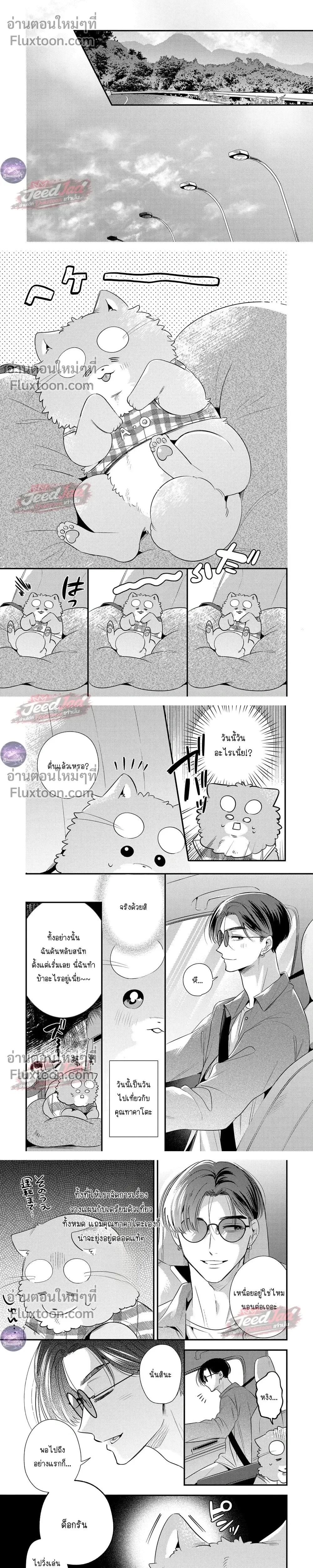 หน้าที่ 5