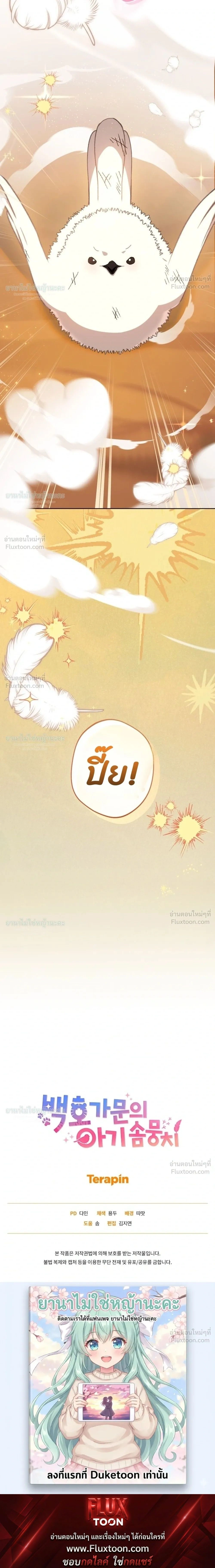 หน้าที่ 41