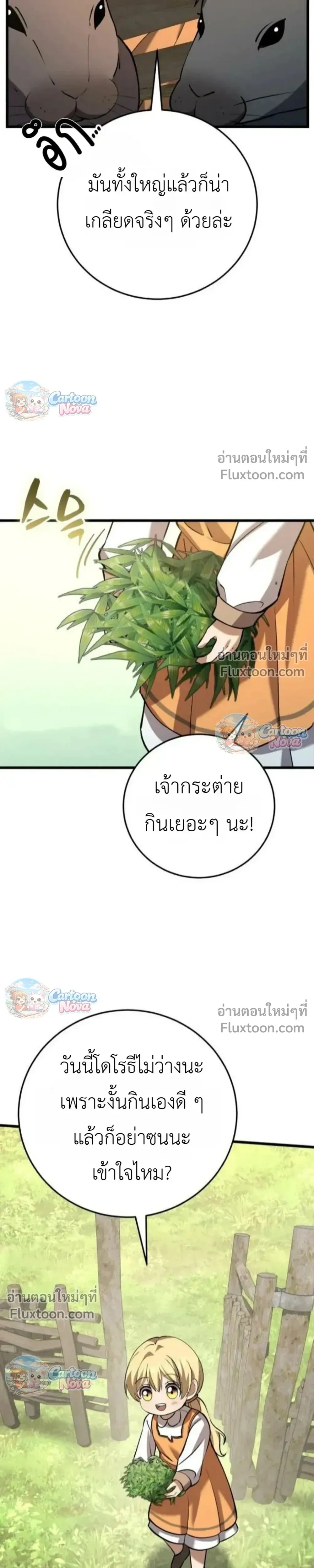 หน้าที่ 31