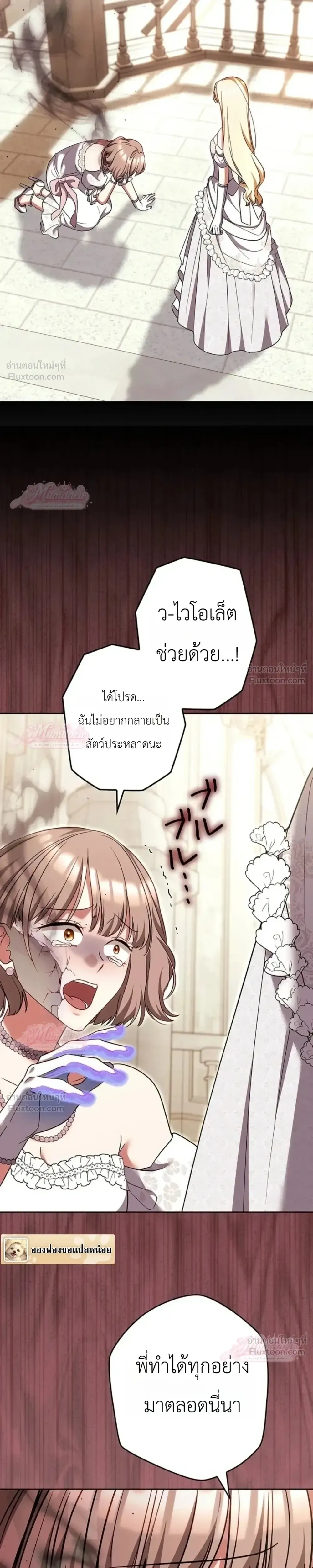 หน้าที่ 34