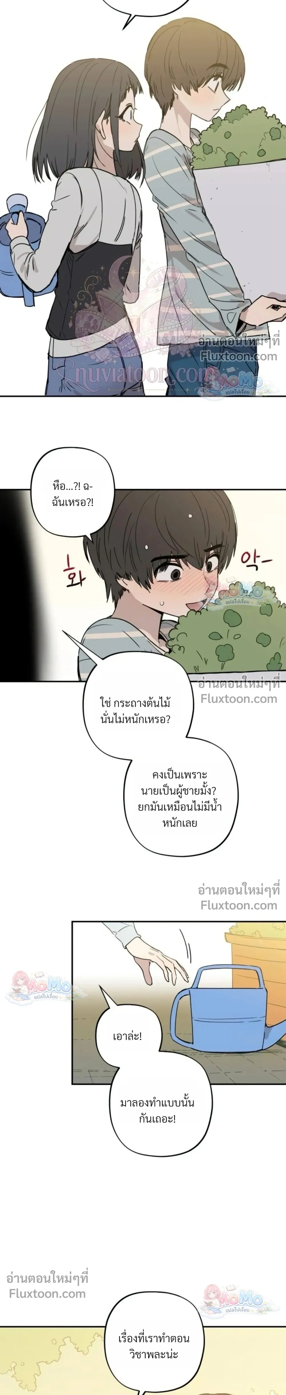 หน้าที่ 13