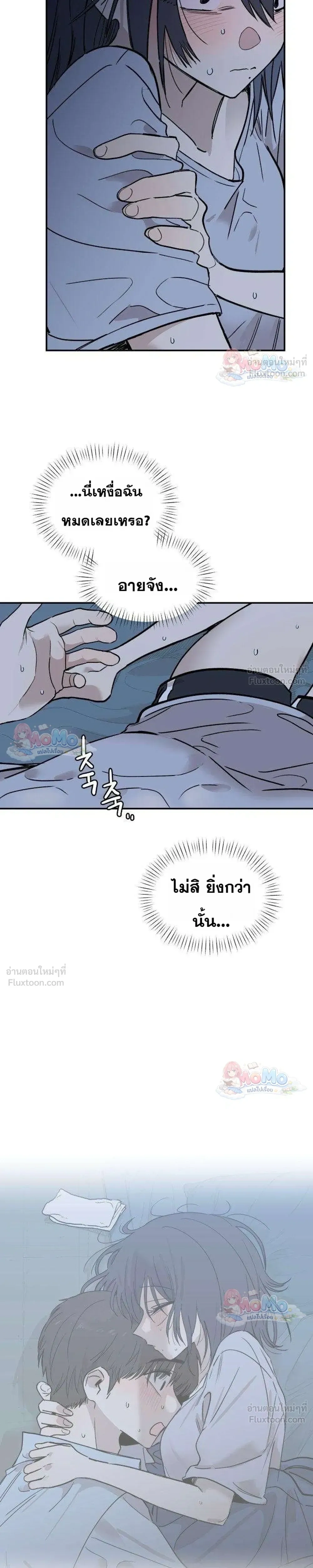 หน้าที่ 13
