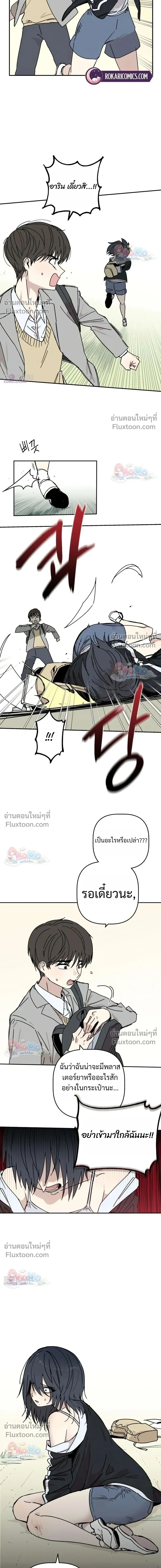 หน้าที่ 13