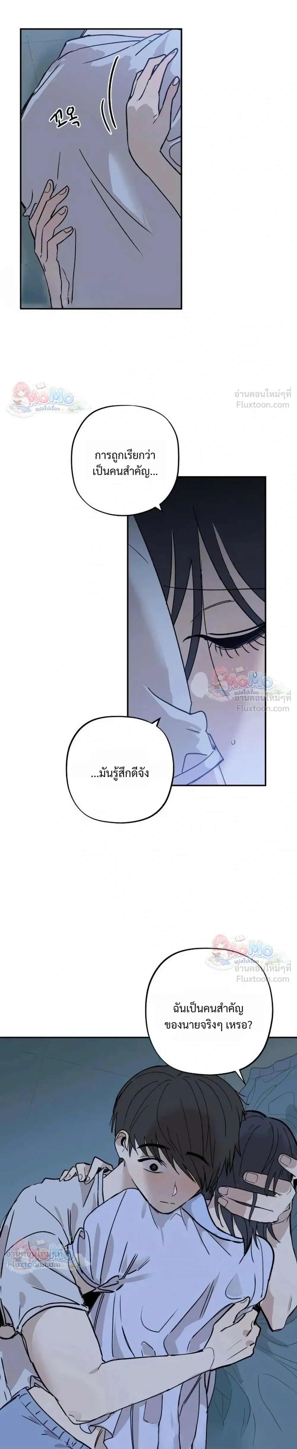 หน้าที่ 29