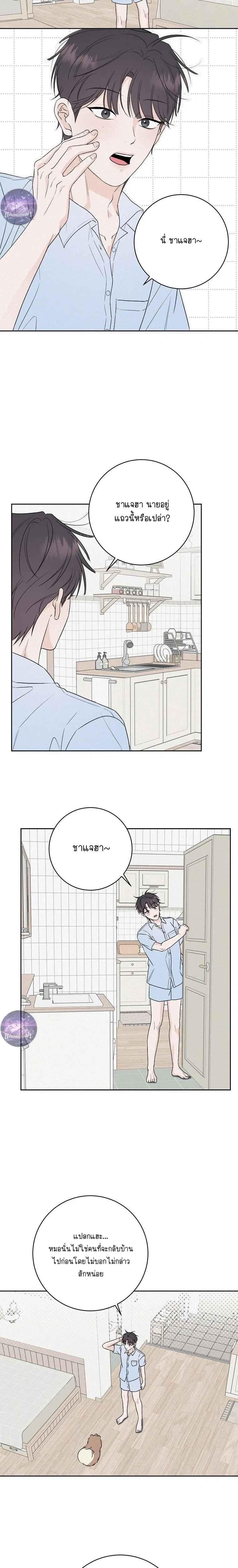 หน้าที่ 4
