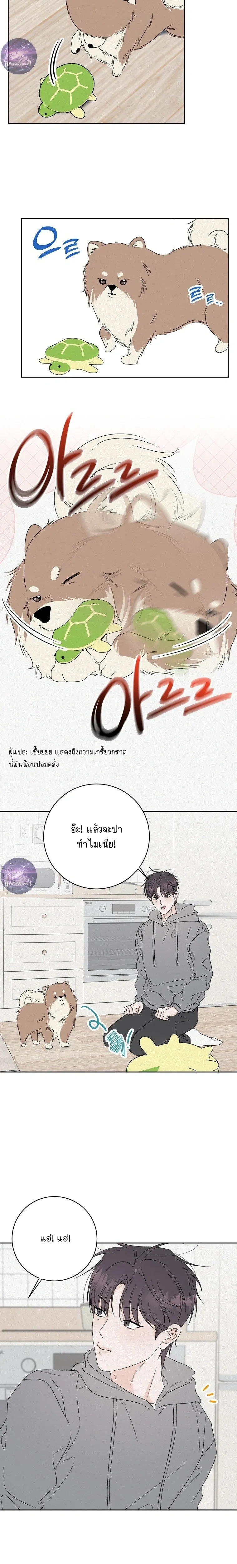 หน้าที่ 20