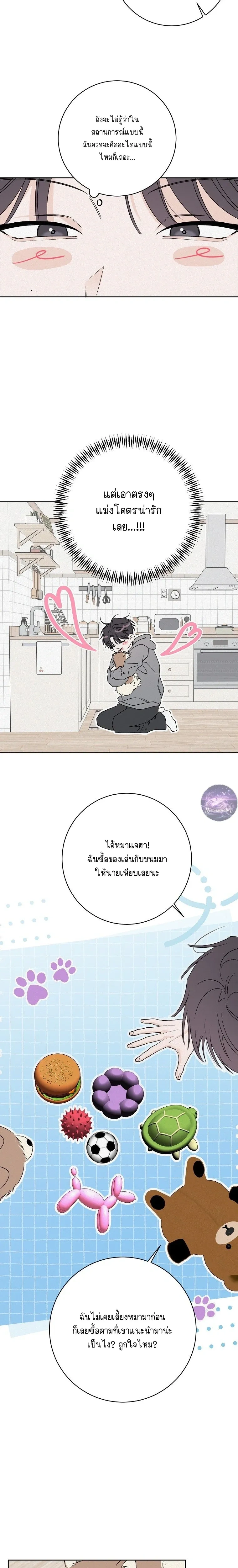 หน้าที่ 19