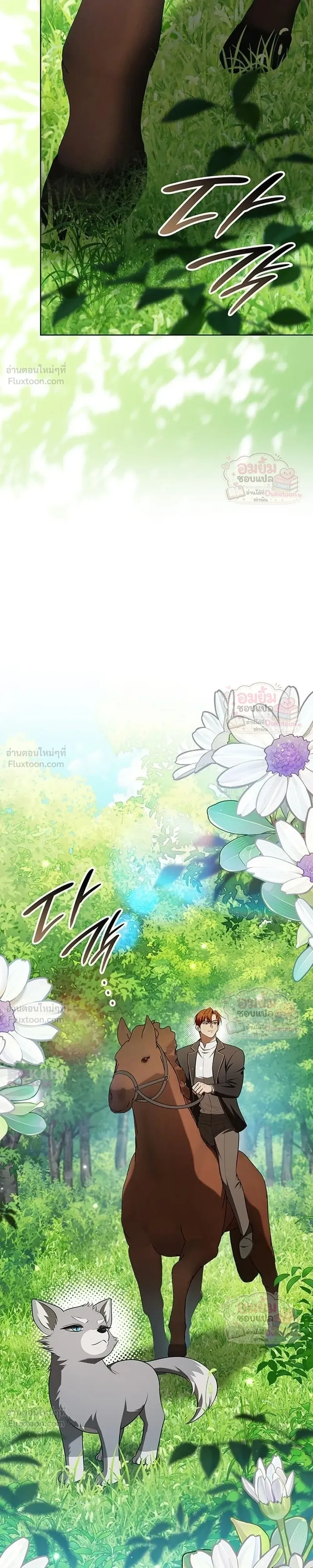 หน้าที่ 31