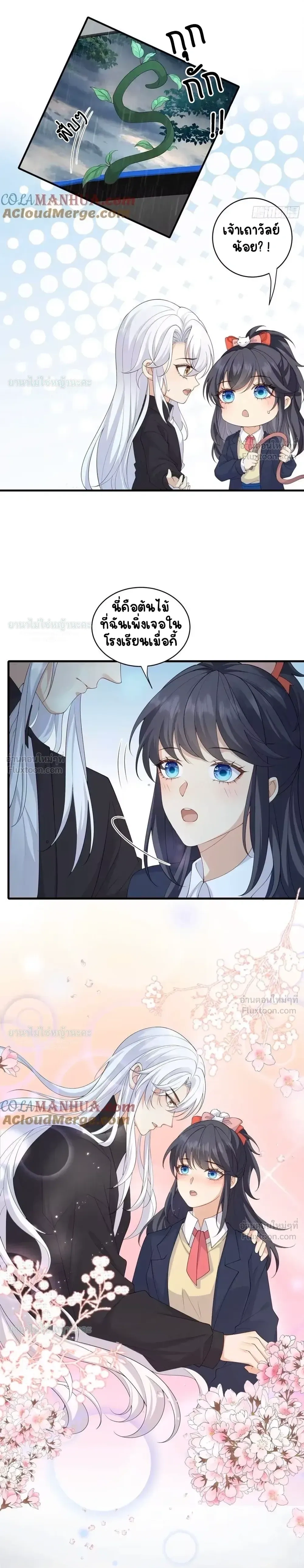 หน้าที่ 3