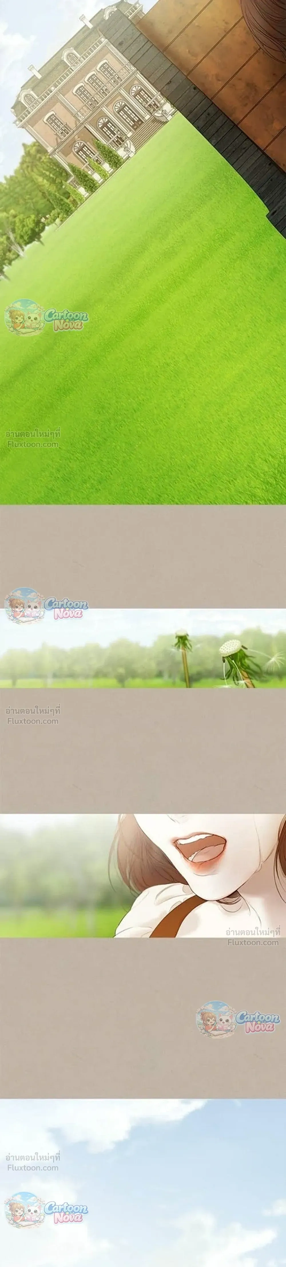 หน้าที่ 29