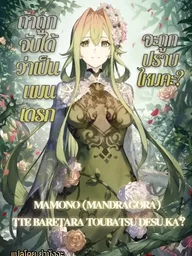 ปกมังงะ Mamono (Mandragora) tte Baretara Toubatsu desu ka? - ถ้าถูกจับได้ว่าเป็นแมนเดรก จะถูกปราบไหมคะ?