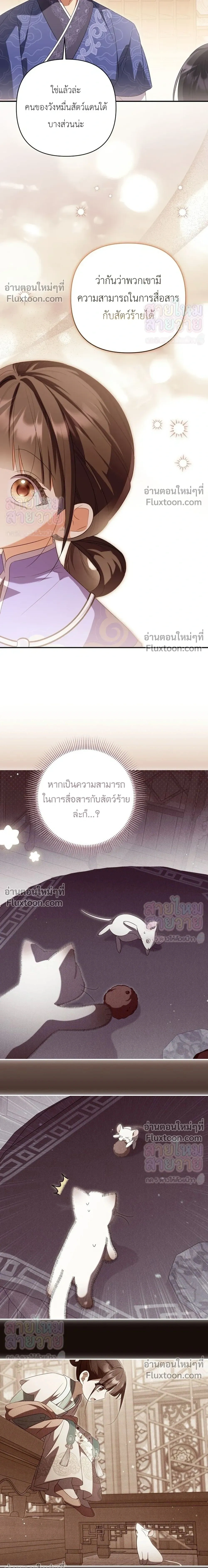 หน้าที่ 31