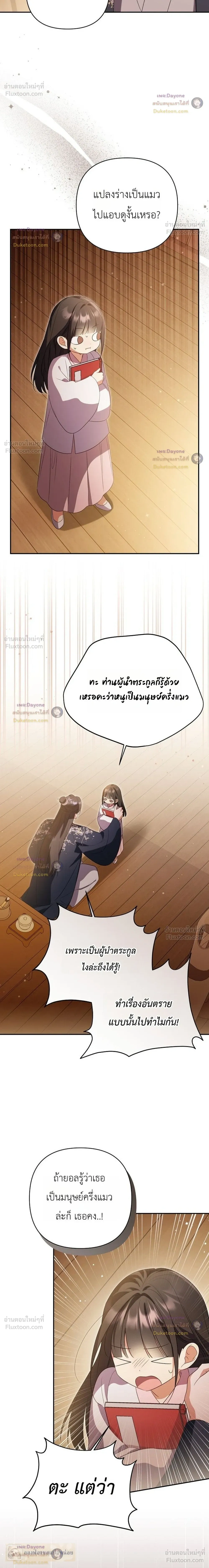 หน้าที่ 28