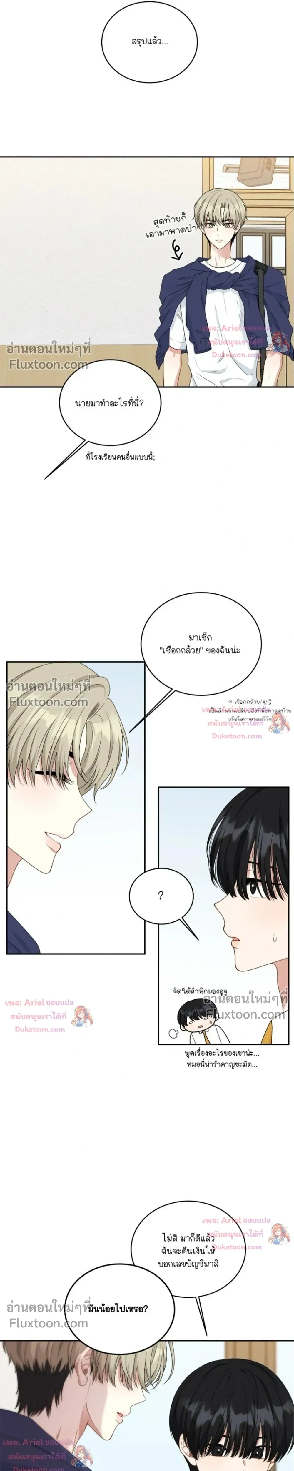 หน้าที่ 13
