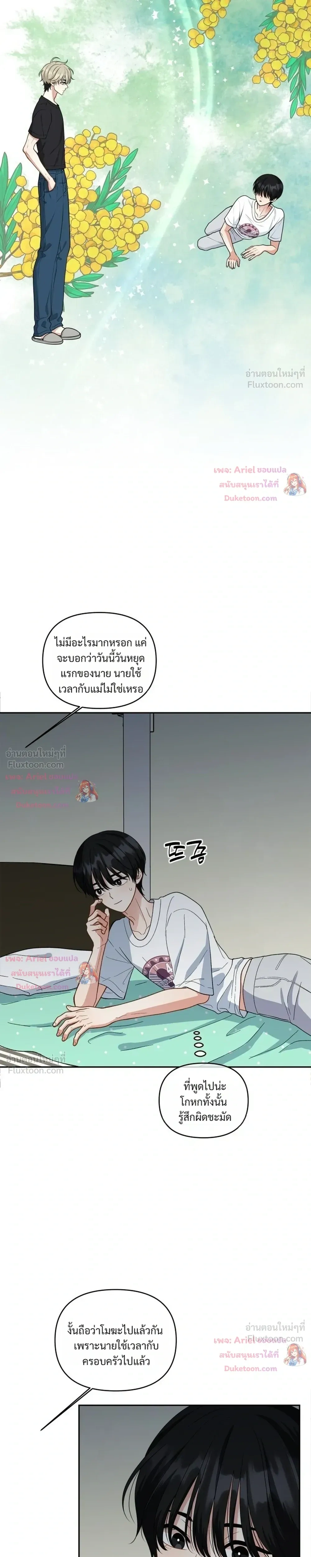 หน้าที่ 17