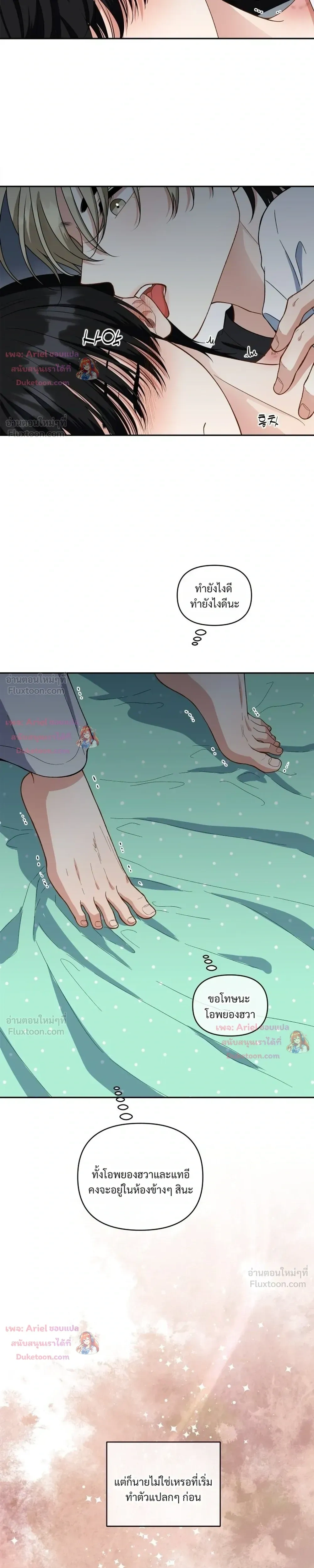 หน้าที่ 13