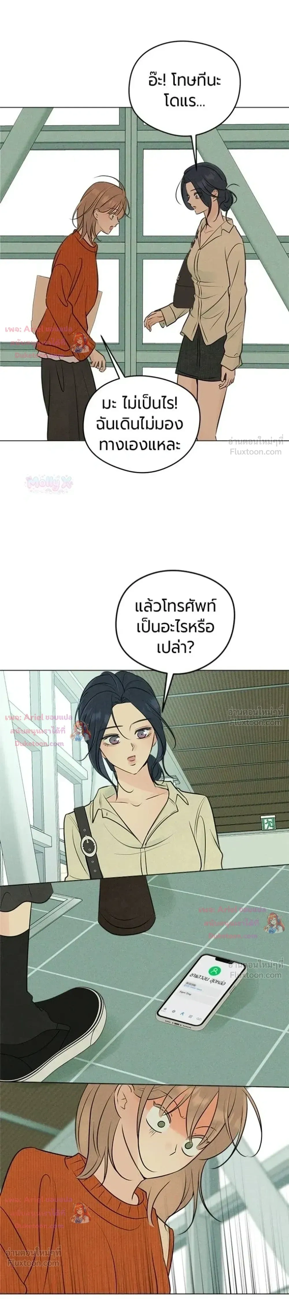 หน้าที่ 13