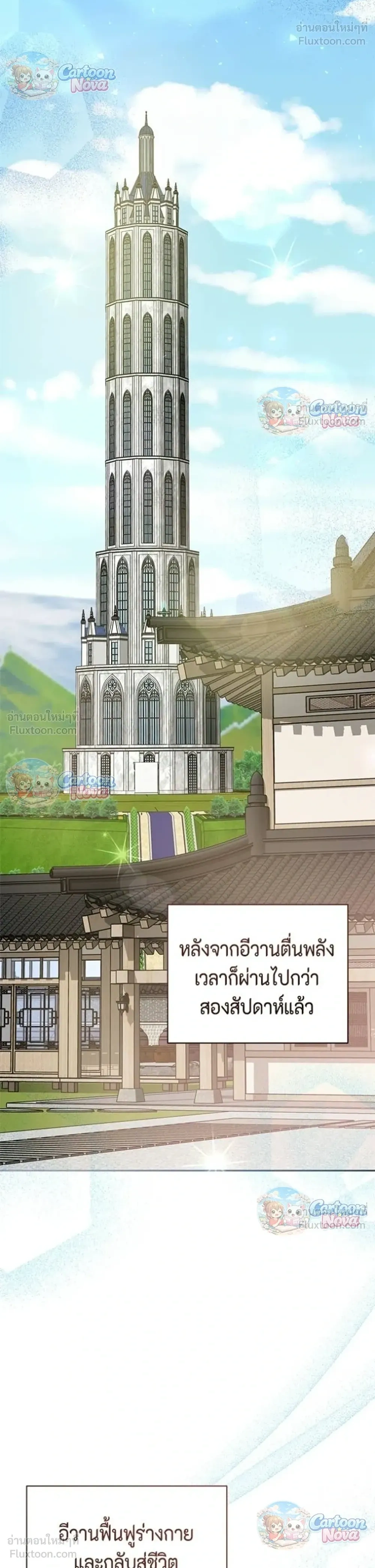 หน้าที่ 29