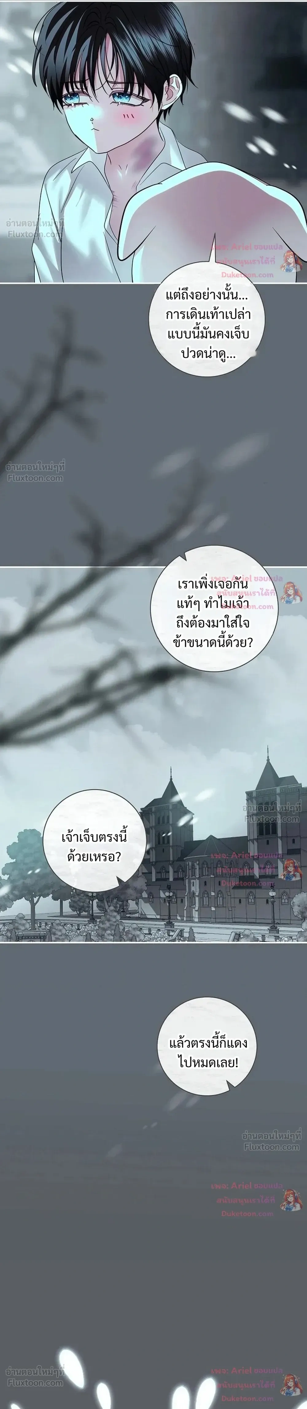 หน้าที่ 24