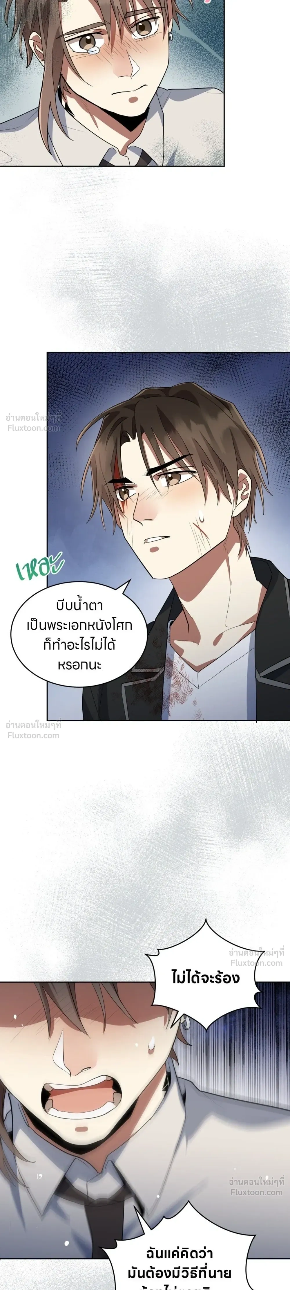 หน้าที่ 13