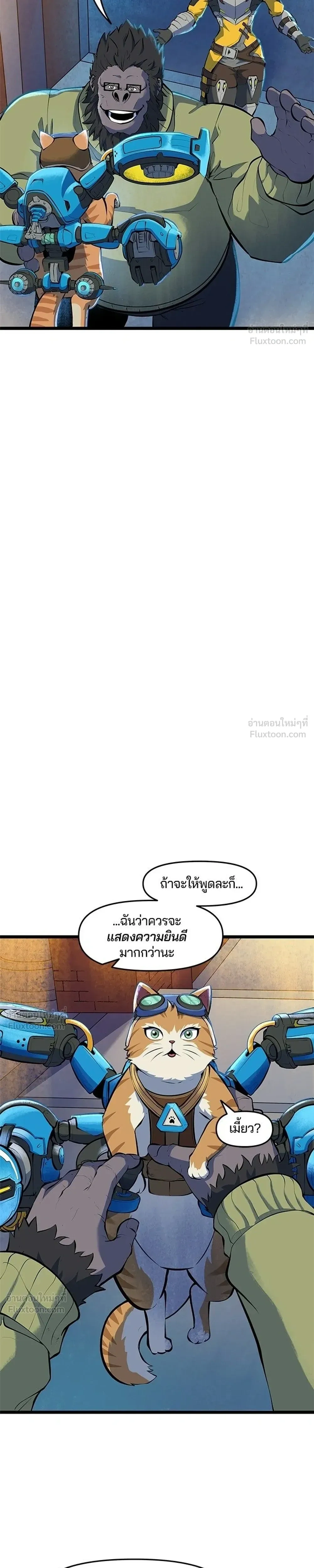 หน้าที่ 11