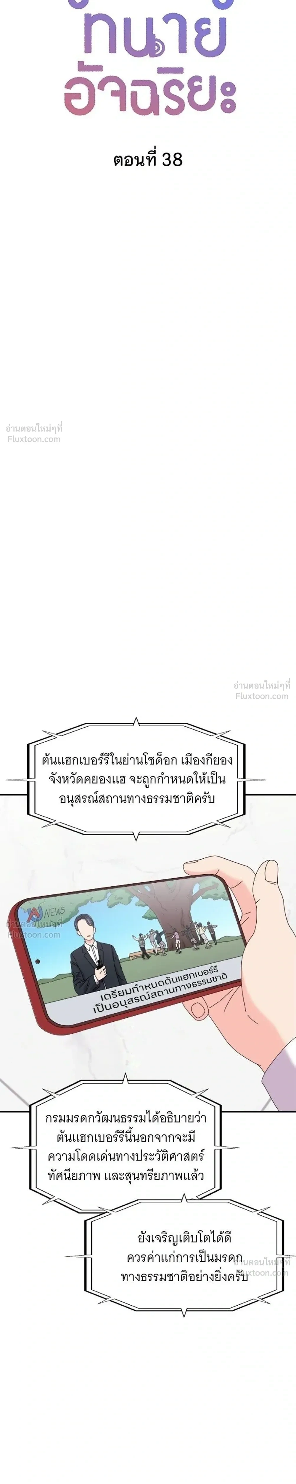 หน้าที่ 13