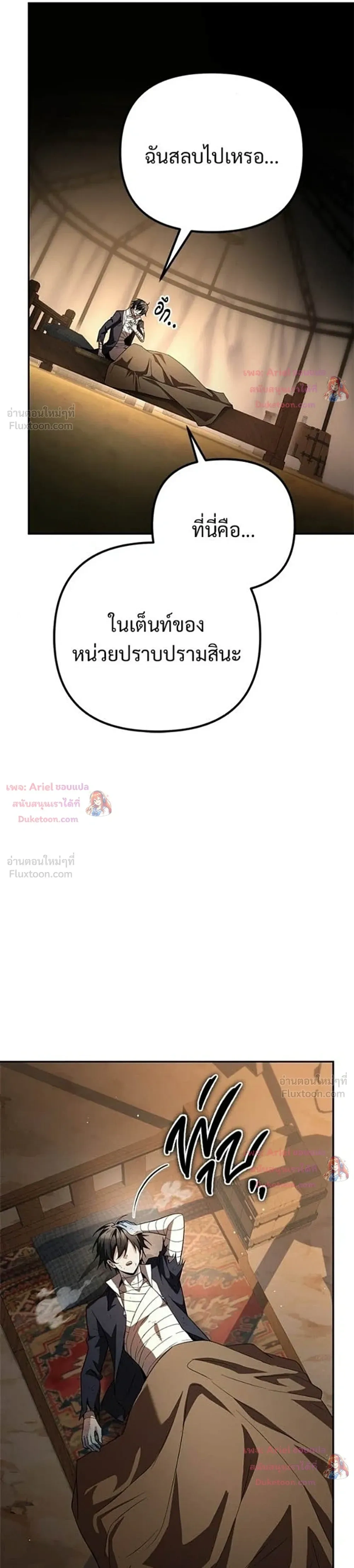 หน้าที่ 13