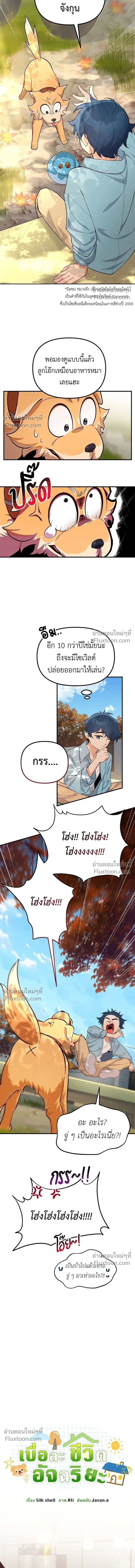 หน้าที่ 4