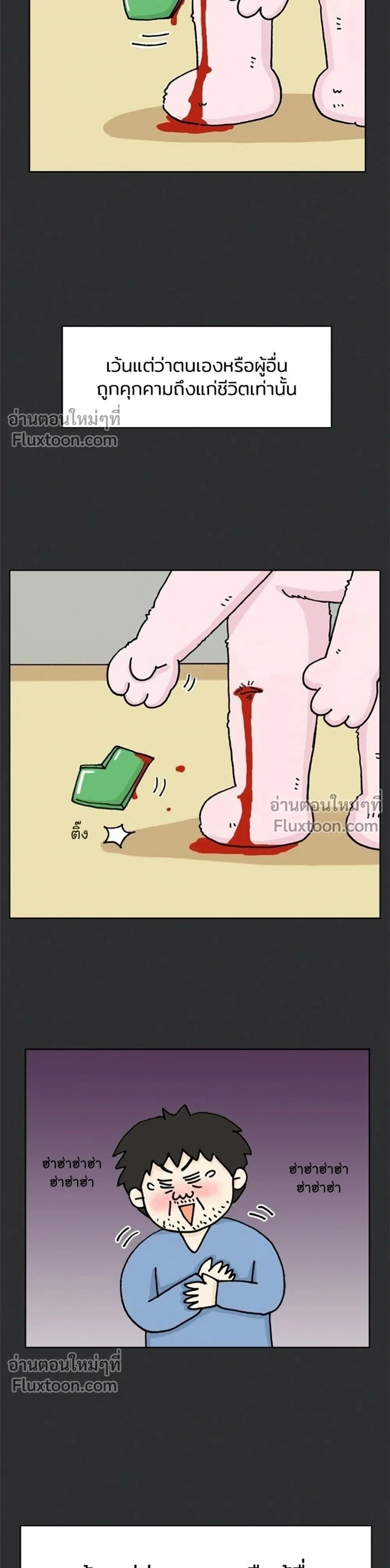 หน้าที่ 13