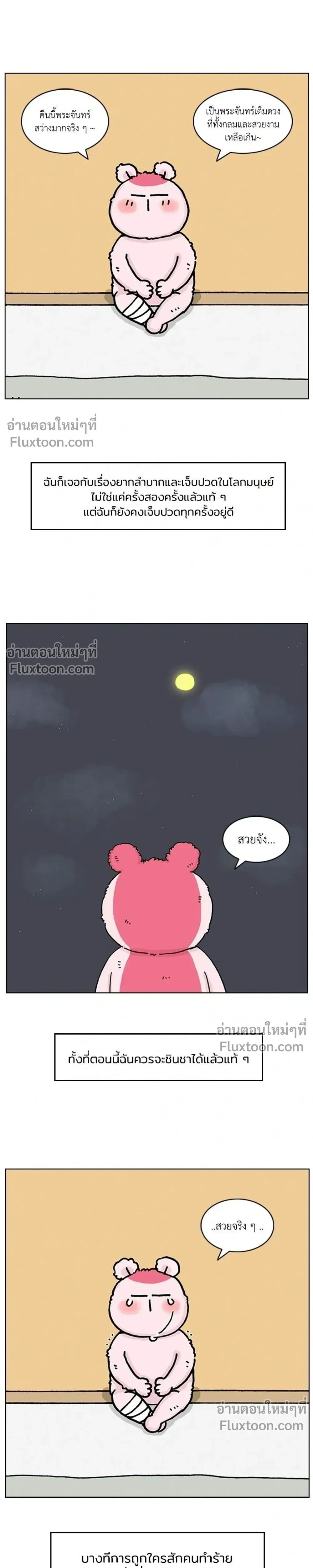 หน้าที่ 13