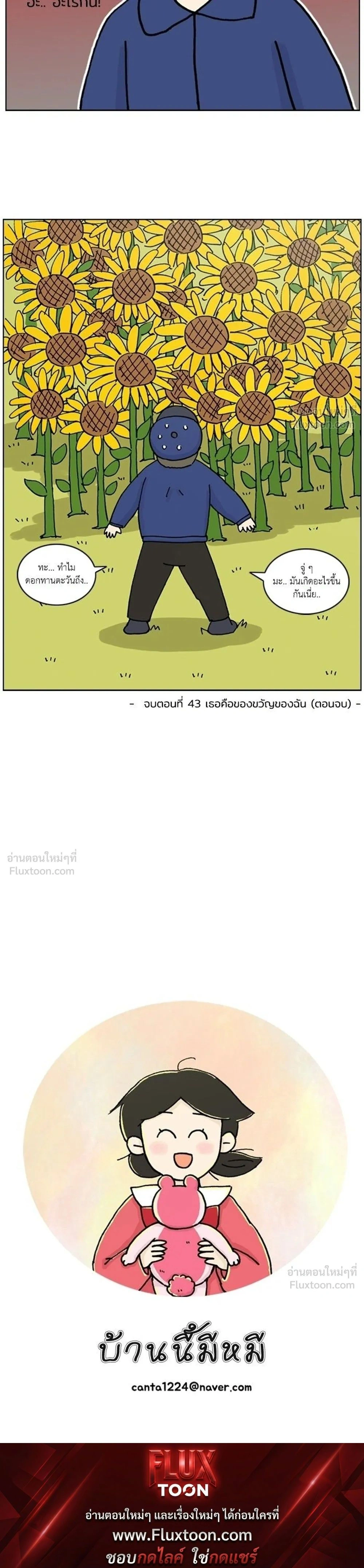 หน้าที่ 17