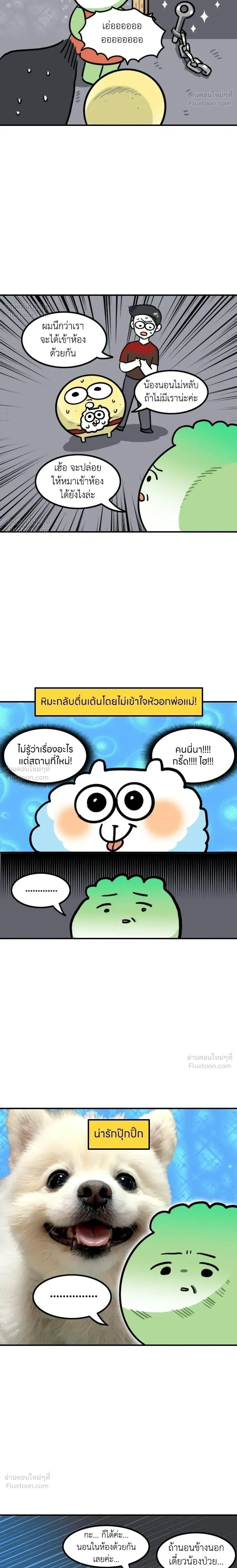 หน้าที่ 6
