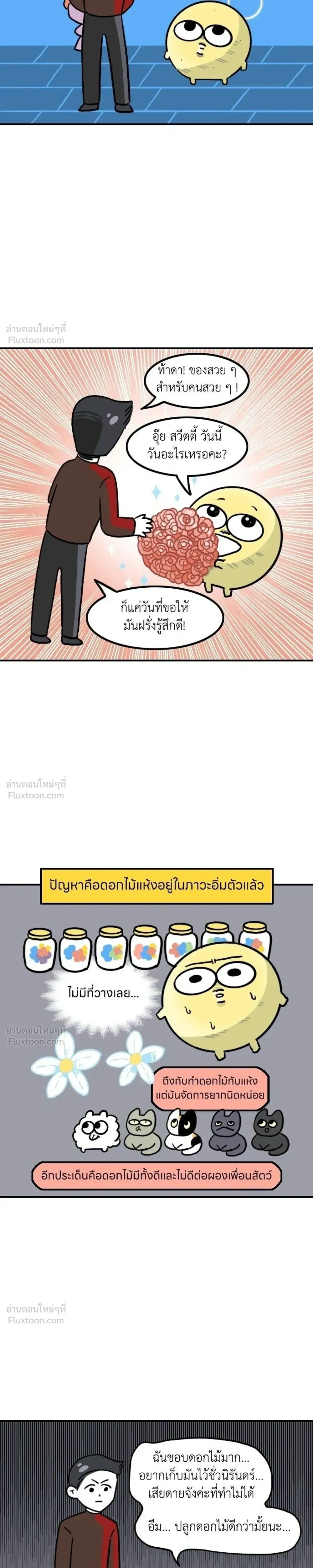 หน้าที่ 5
