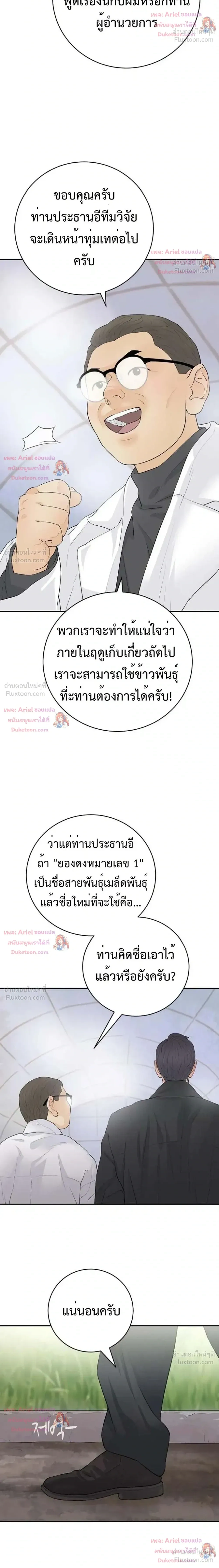 หน้าที่ 26