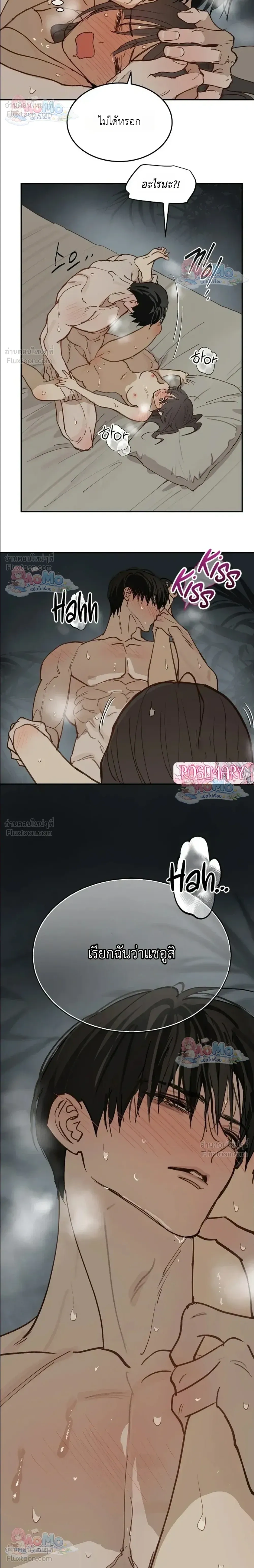 หน้าที่ 26