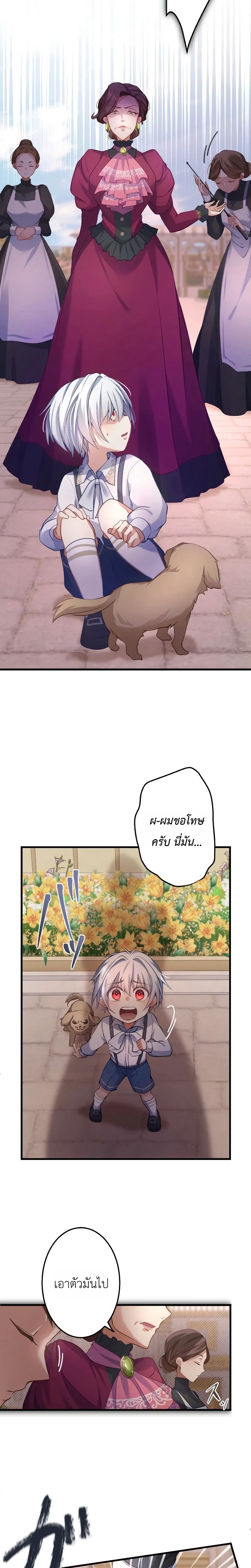 หน้าที่ 17