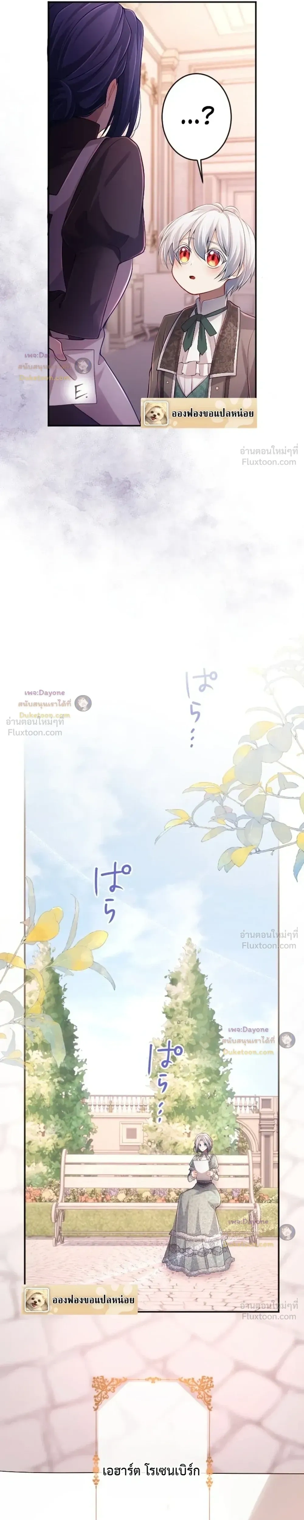 หน้าที่ 17