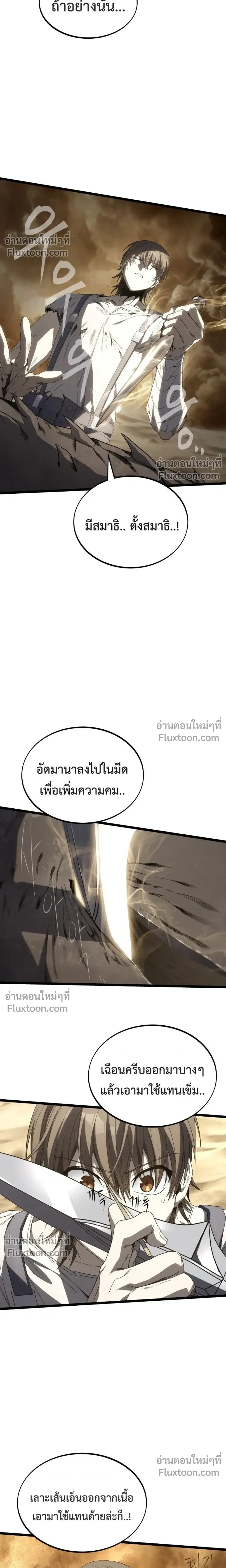 หน้าที่ 17