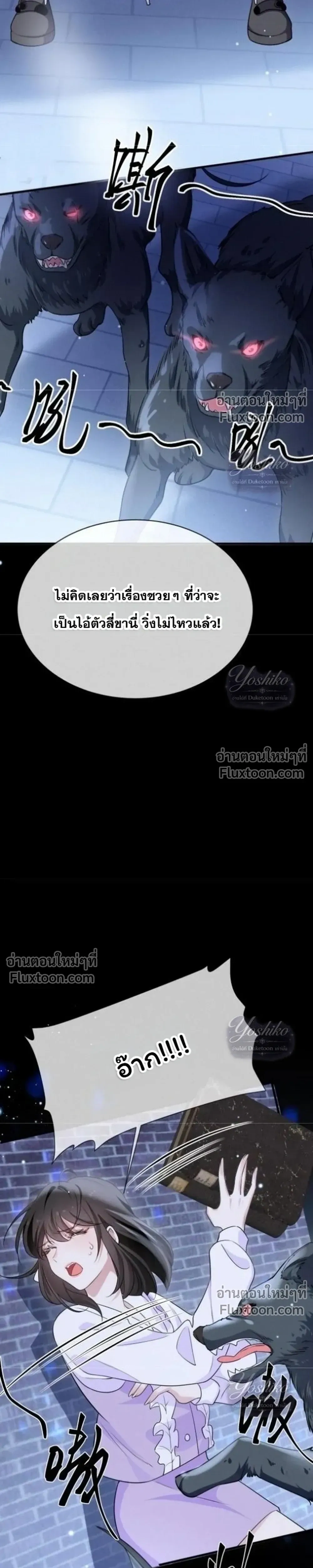 หน้าที่ 13
