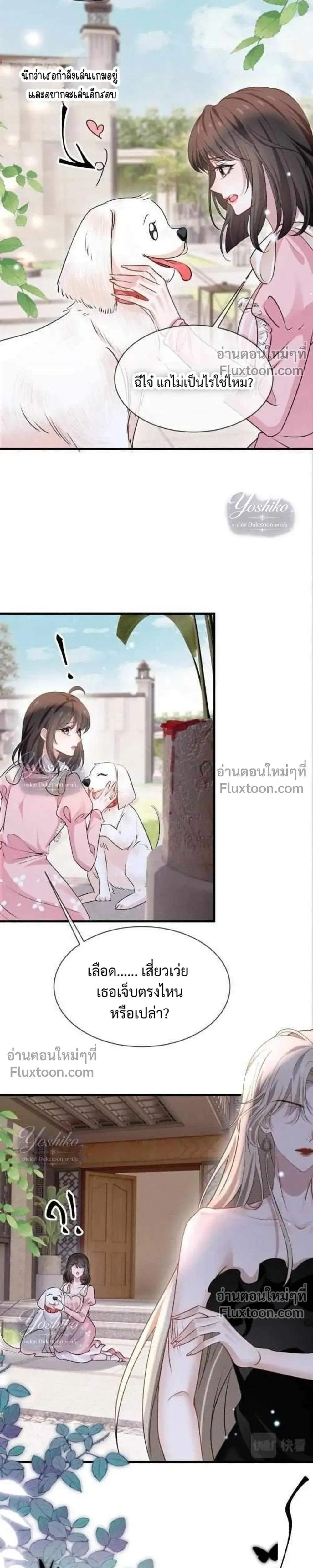 หน้าที่ 13