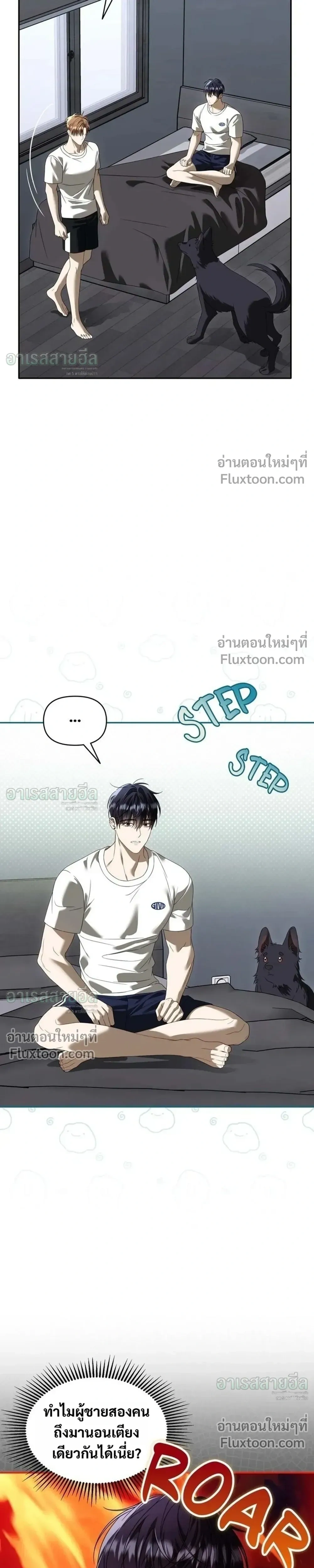 หน้าที่ 13