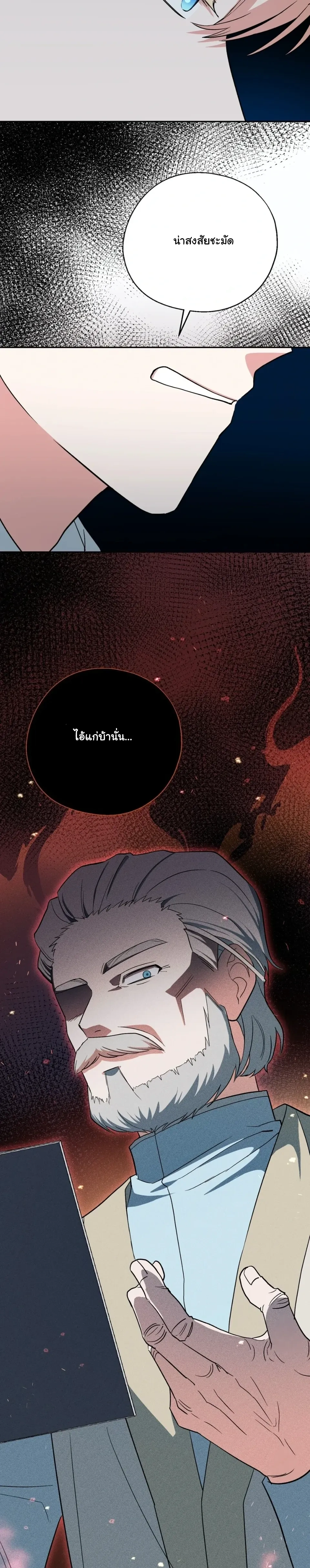 หน้าที่ 30