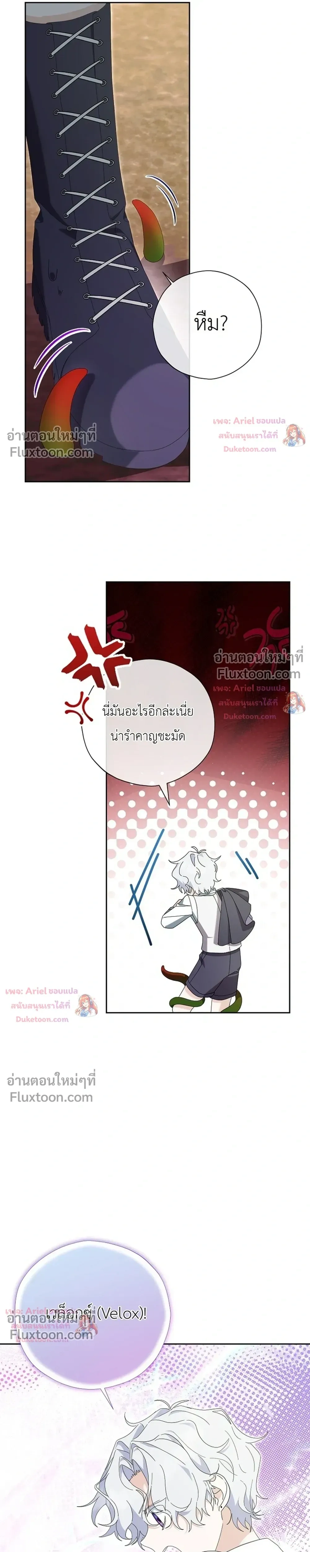 หน้าที่ 31