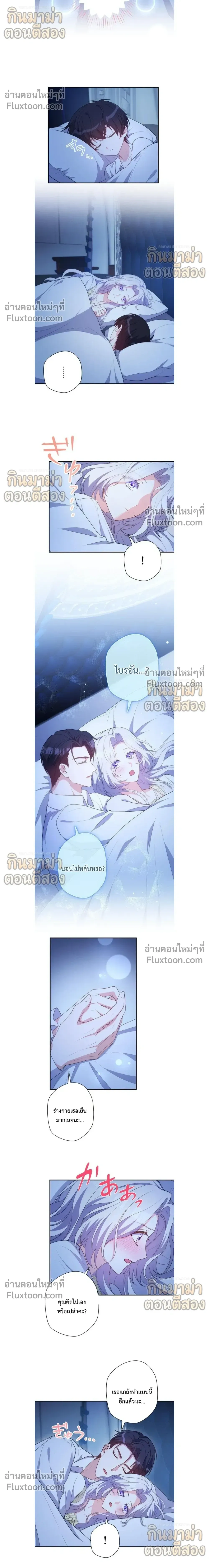 หน้าที่ 13