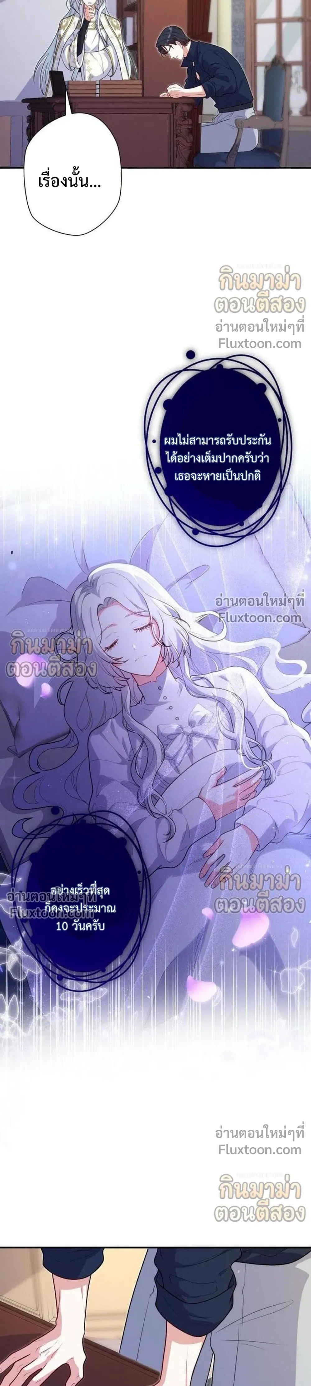 หน้าที่ 13