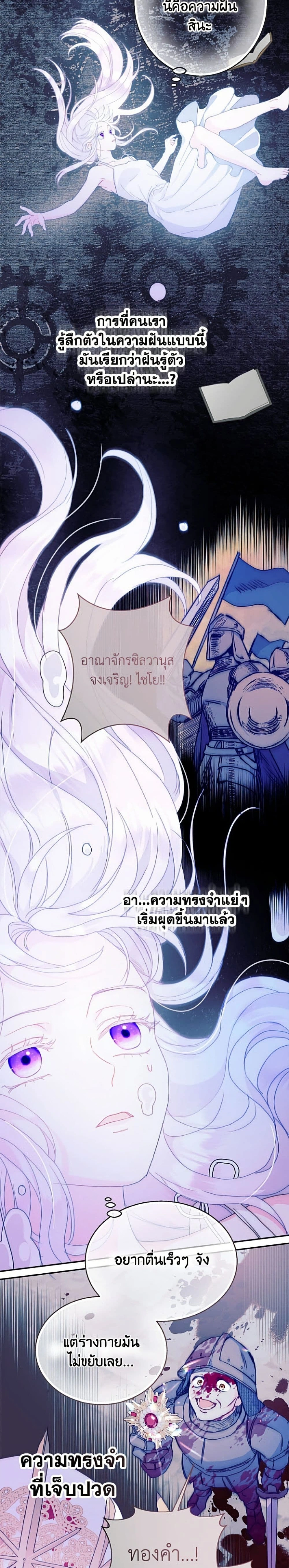 หน้าที่ 13
