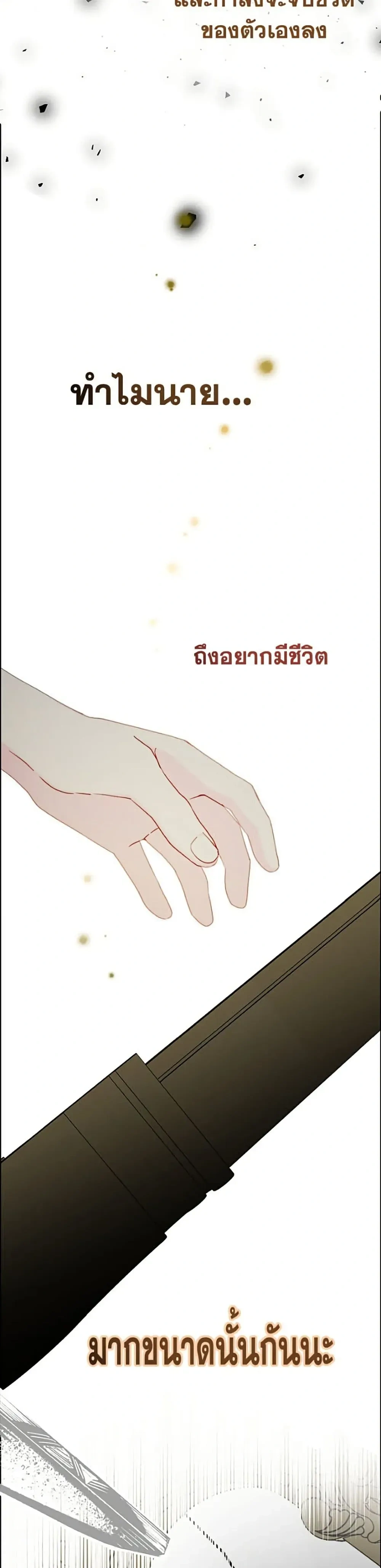 หน้าที่ 42