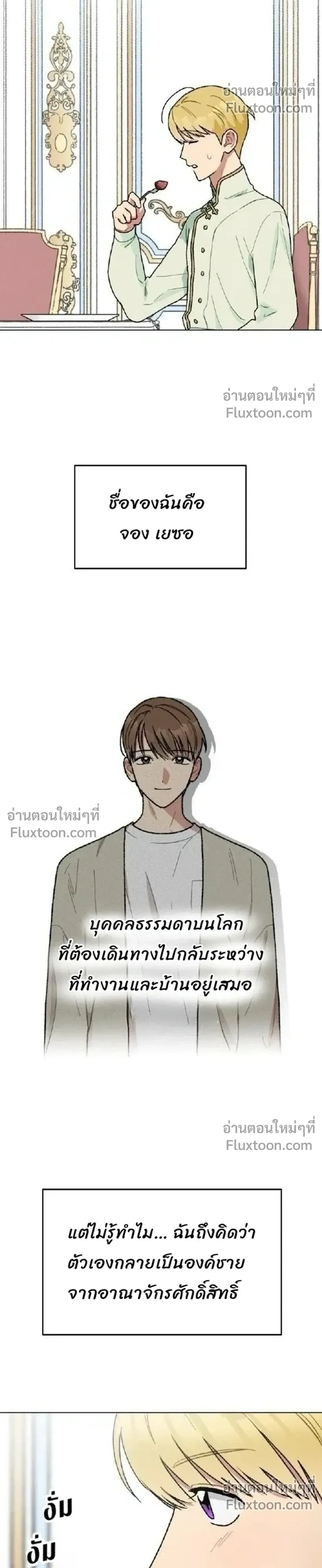 หน้าที่ 17
