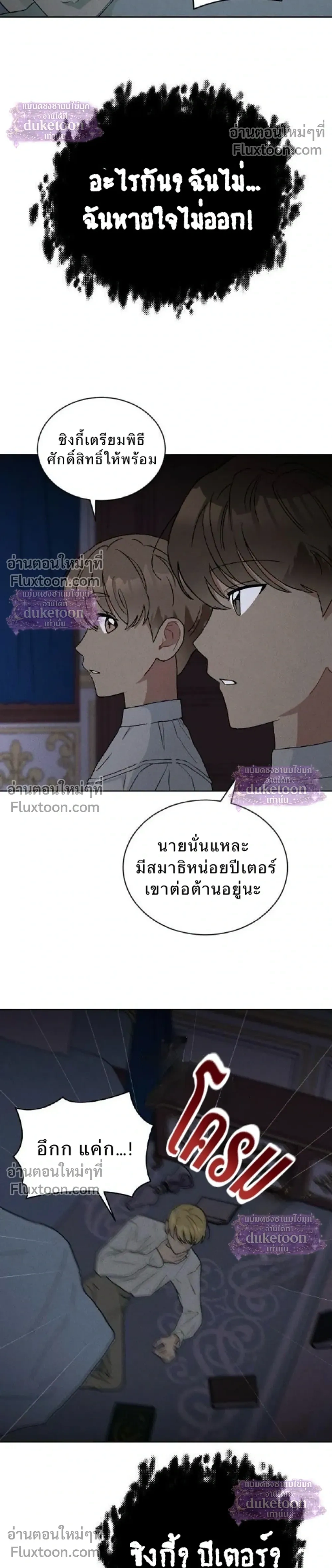 หน้าที่ 29